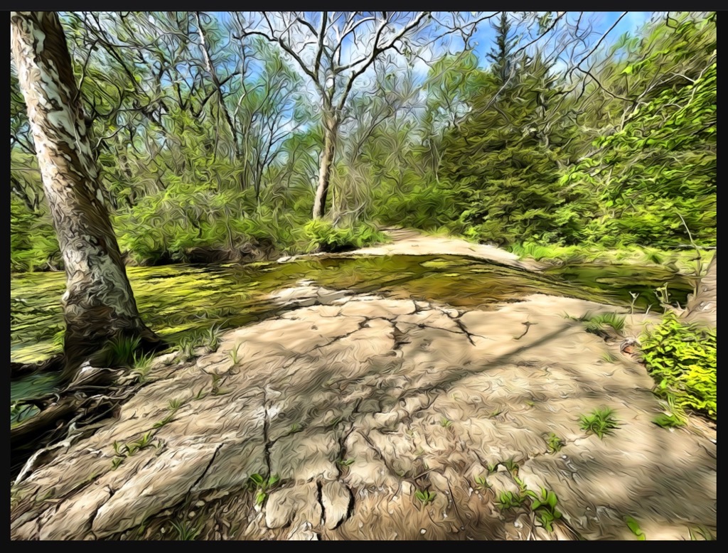 16 Small Stream.  
