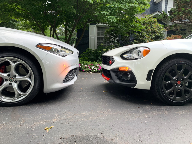 Giulia And The Spider Meet