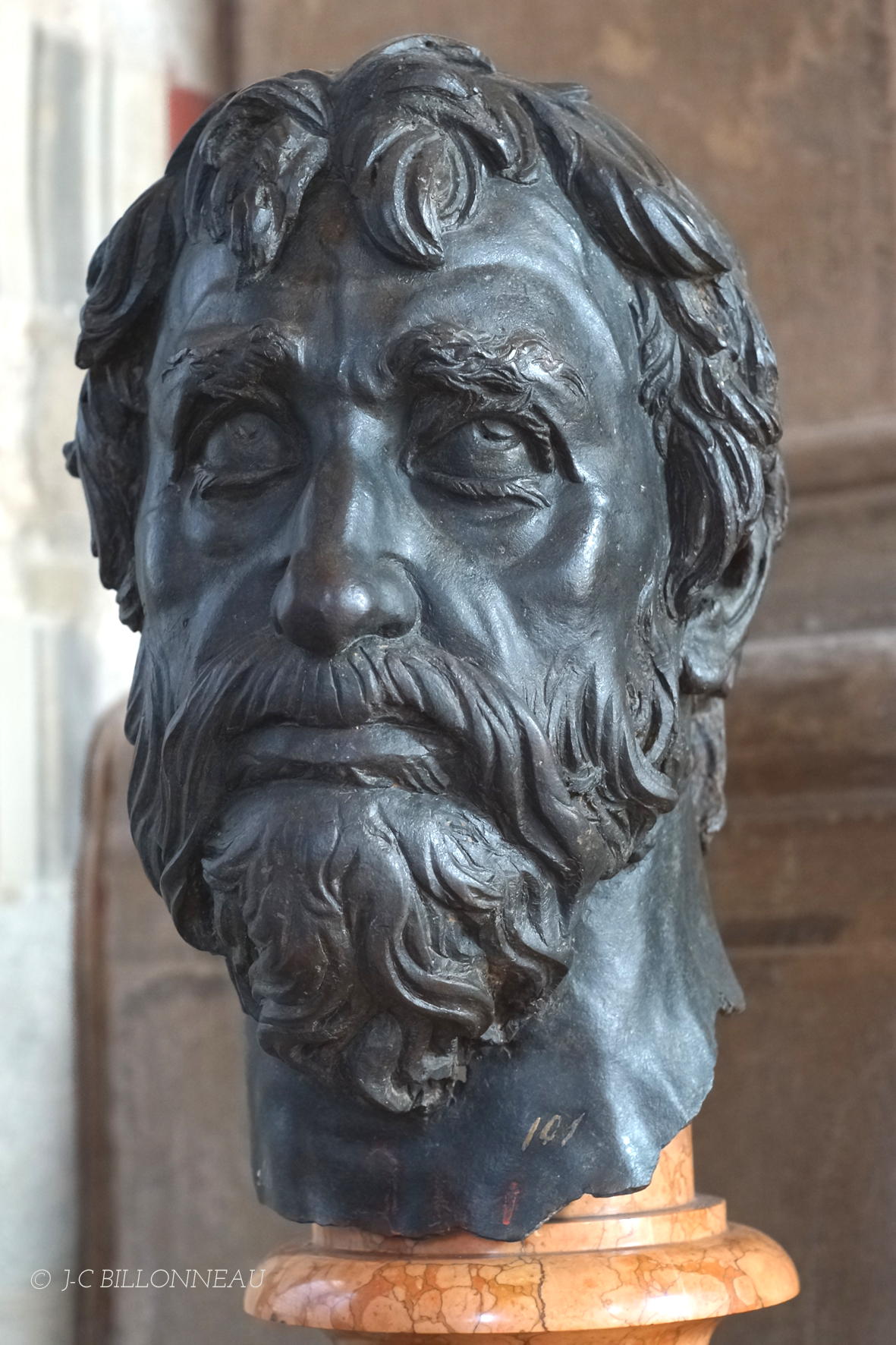 022 Testa Barbuta - Donatello.JPG