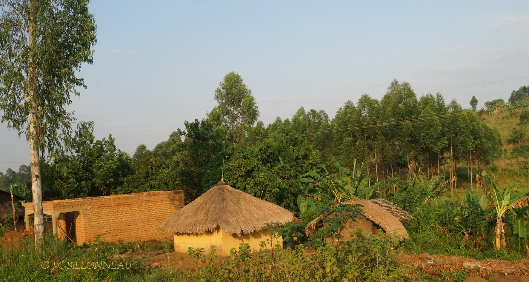 256 En allant vers Kibale.JPG