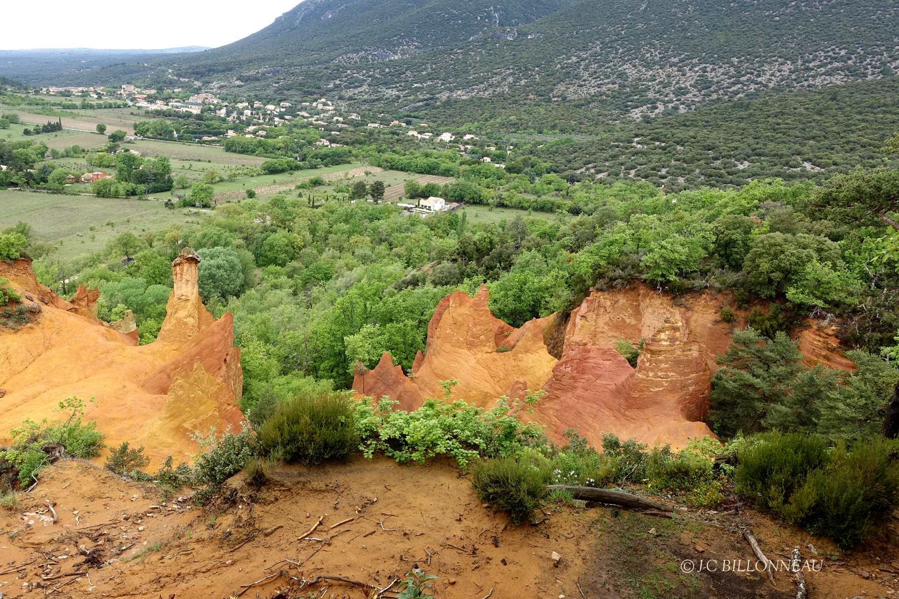056 Colorado provenal.JPG