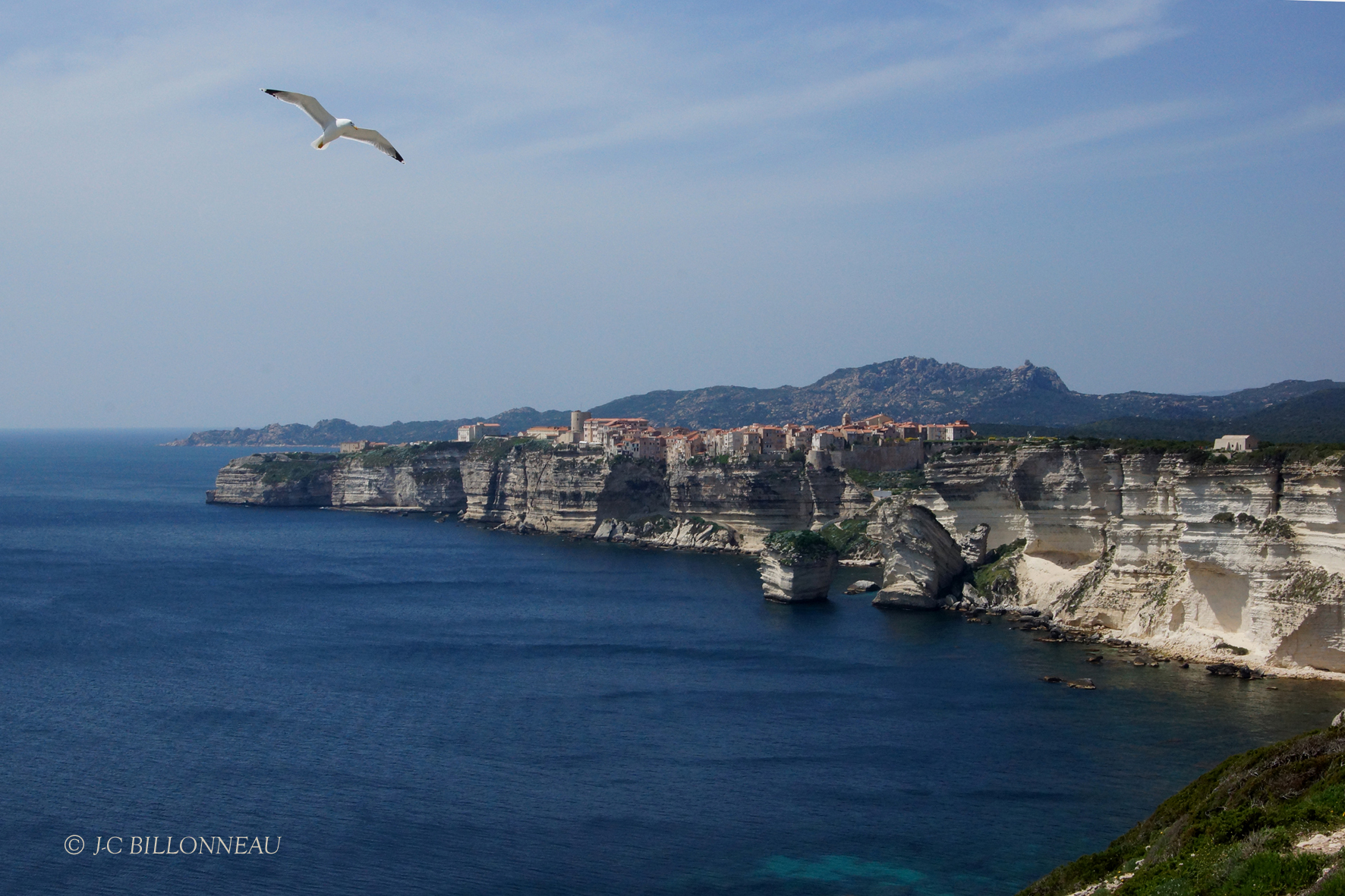 198 Bonifacio.JPG