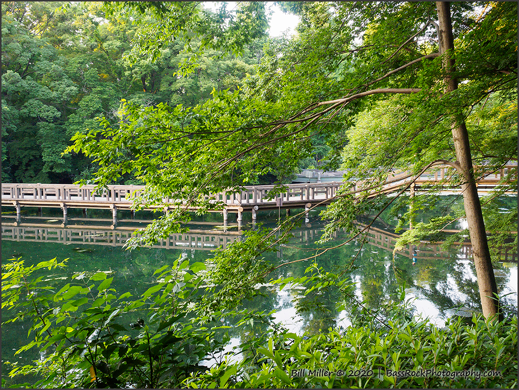 Inokashira Pond