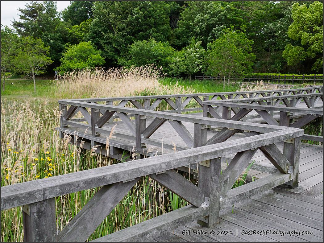 Boardwalk