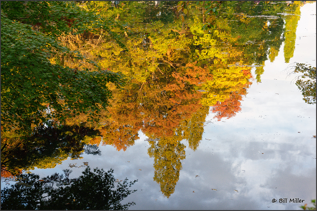 Reflections