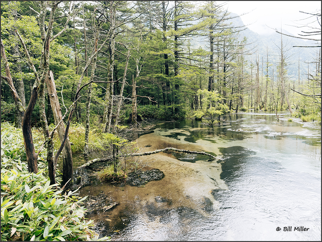 Kamikochi Valley