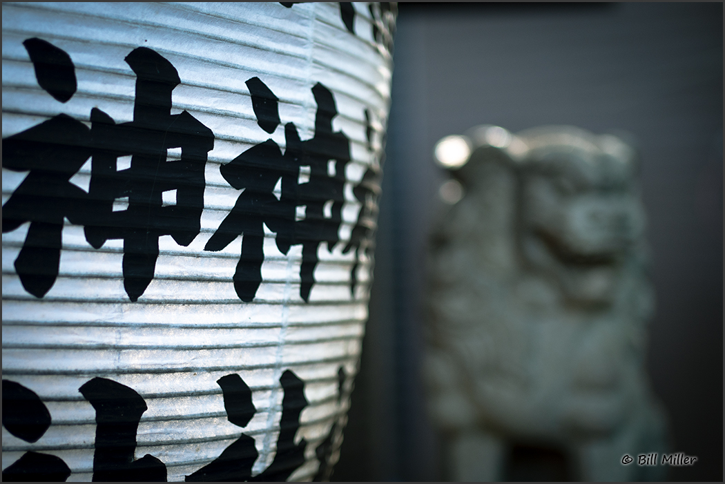 Lantern and Lion
