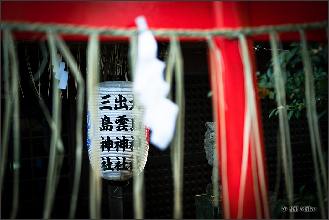 Torii Gate and Lantern