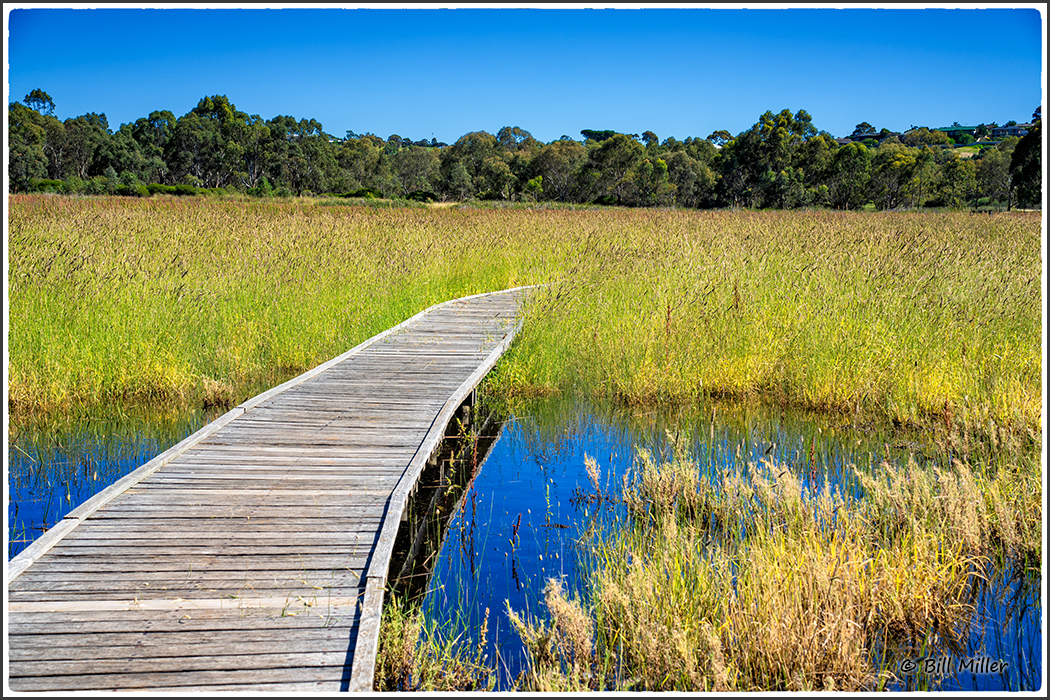 Wetlands