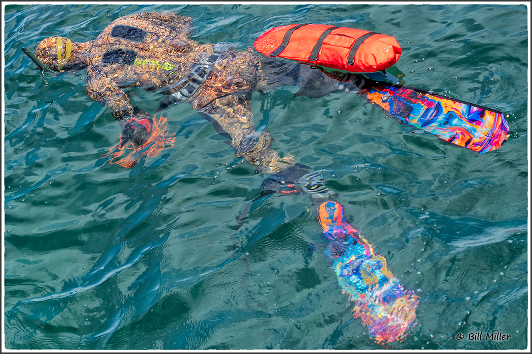Sea Creature