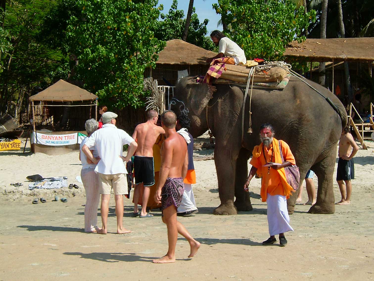 india-7197.jpg