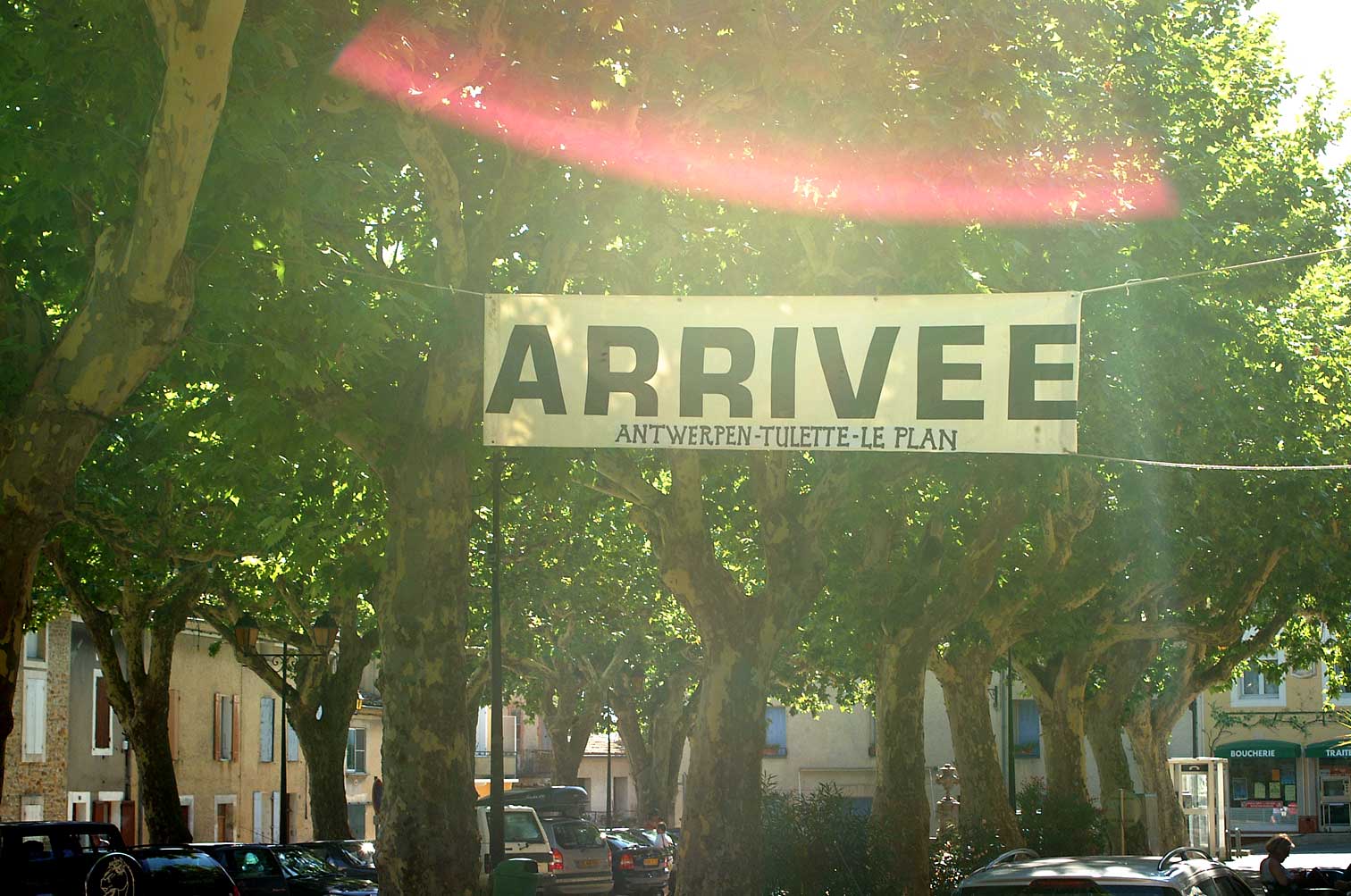 Arrivee-tulette.jpg