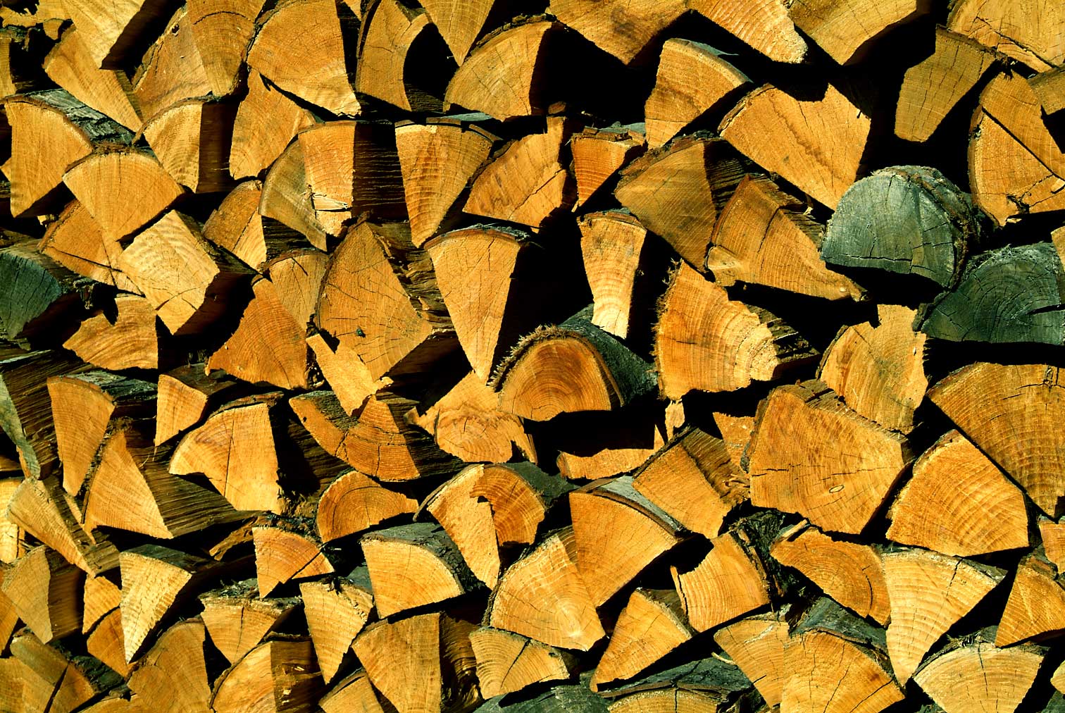 Hout3116.jpg