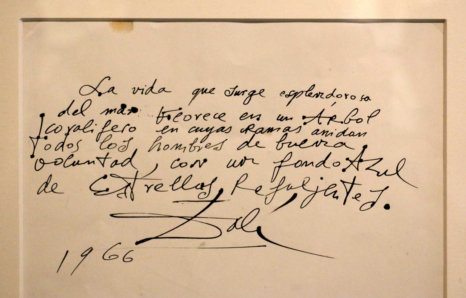 Dali0577.jpg