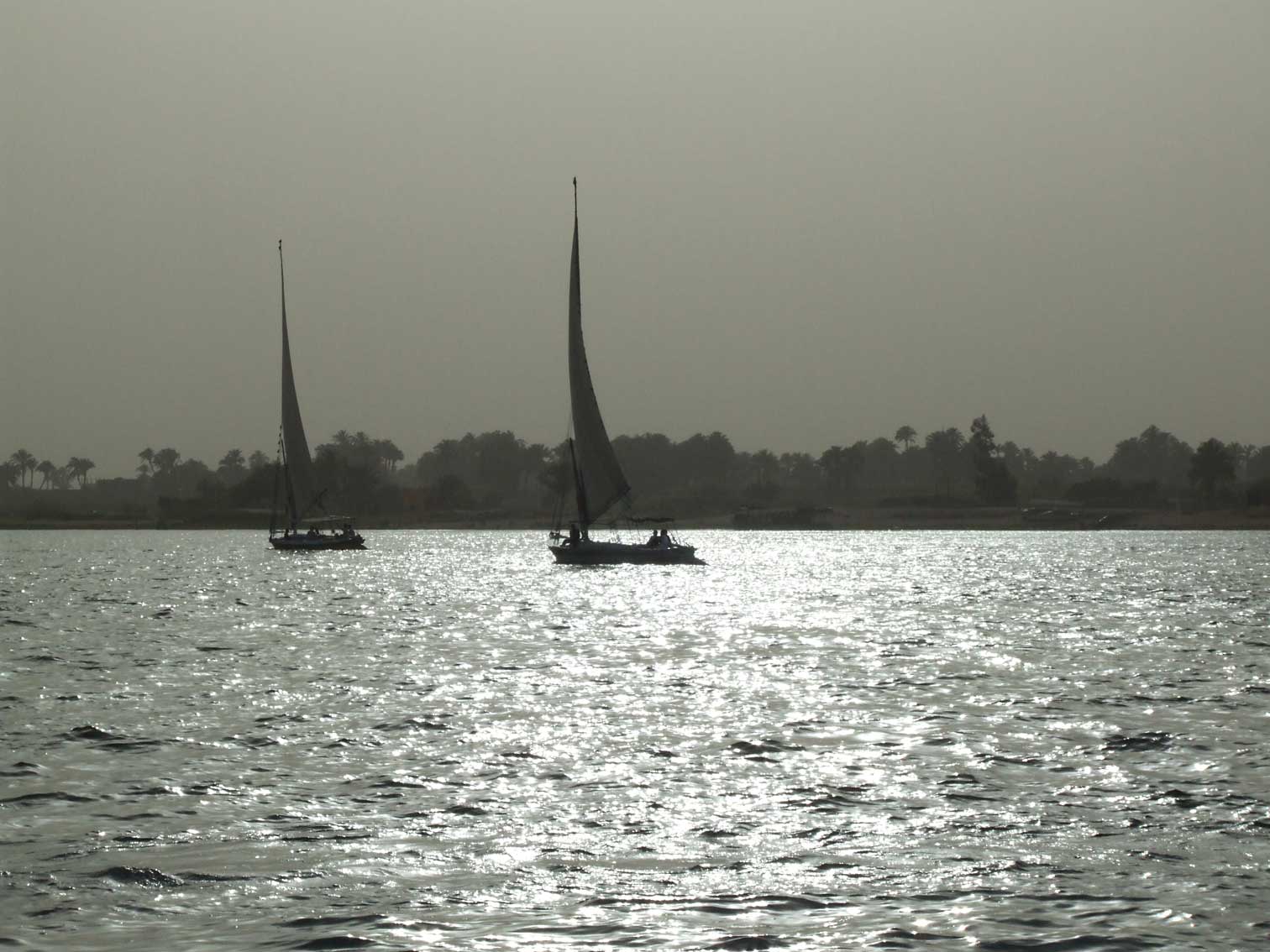 Egypt1547.jpg