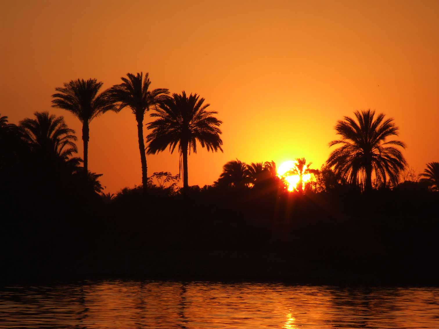 Egypx1065.jpg