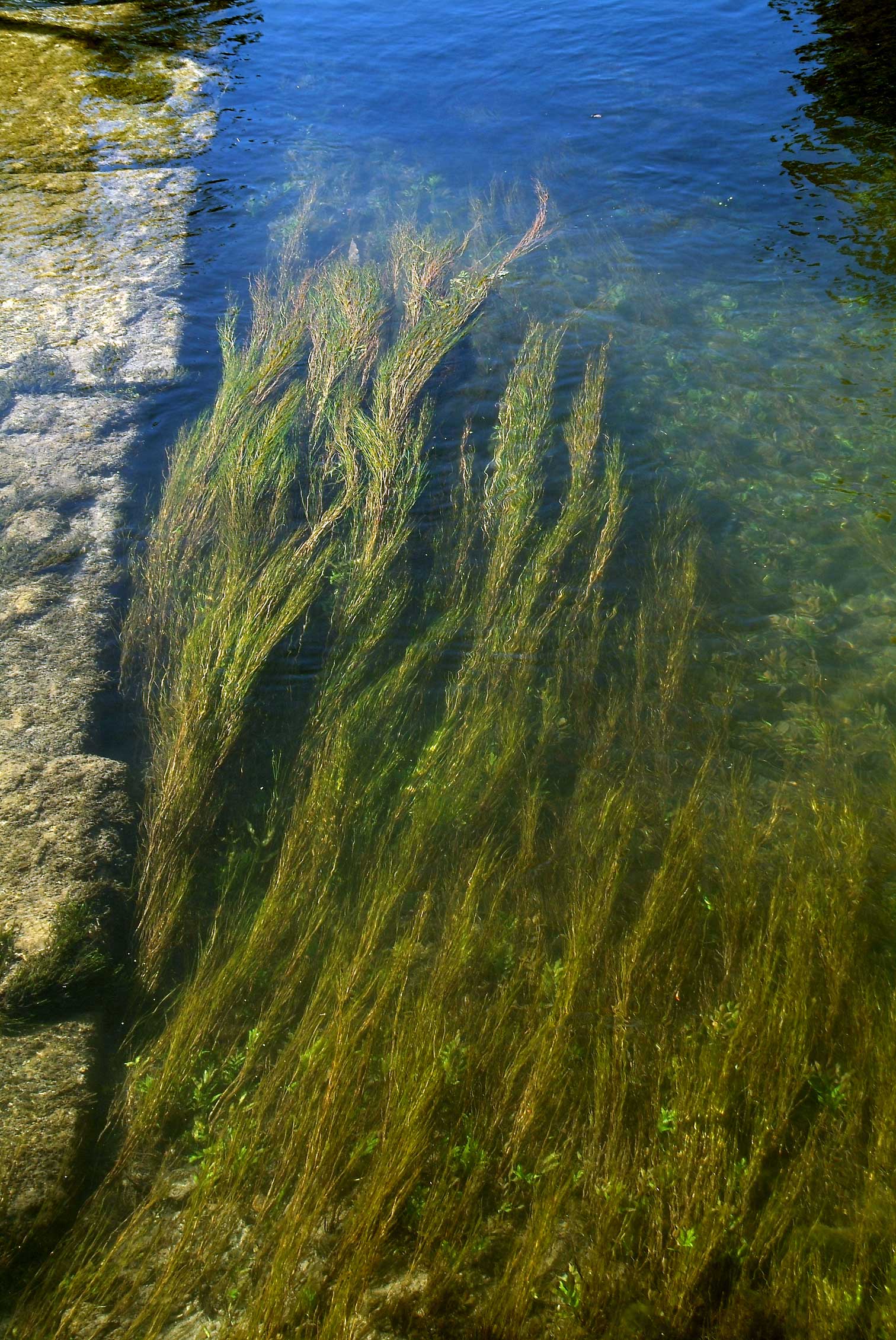 Water3863.jpg