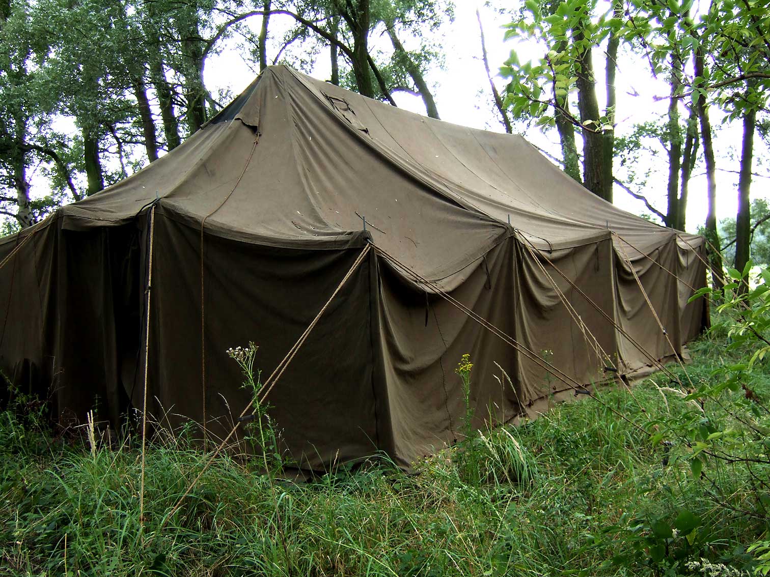 Army2589.jpg