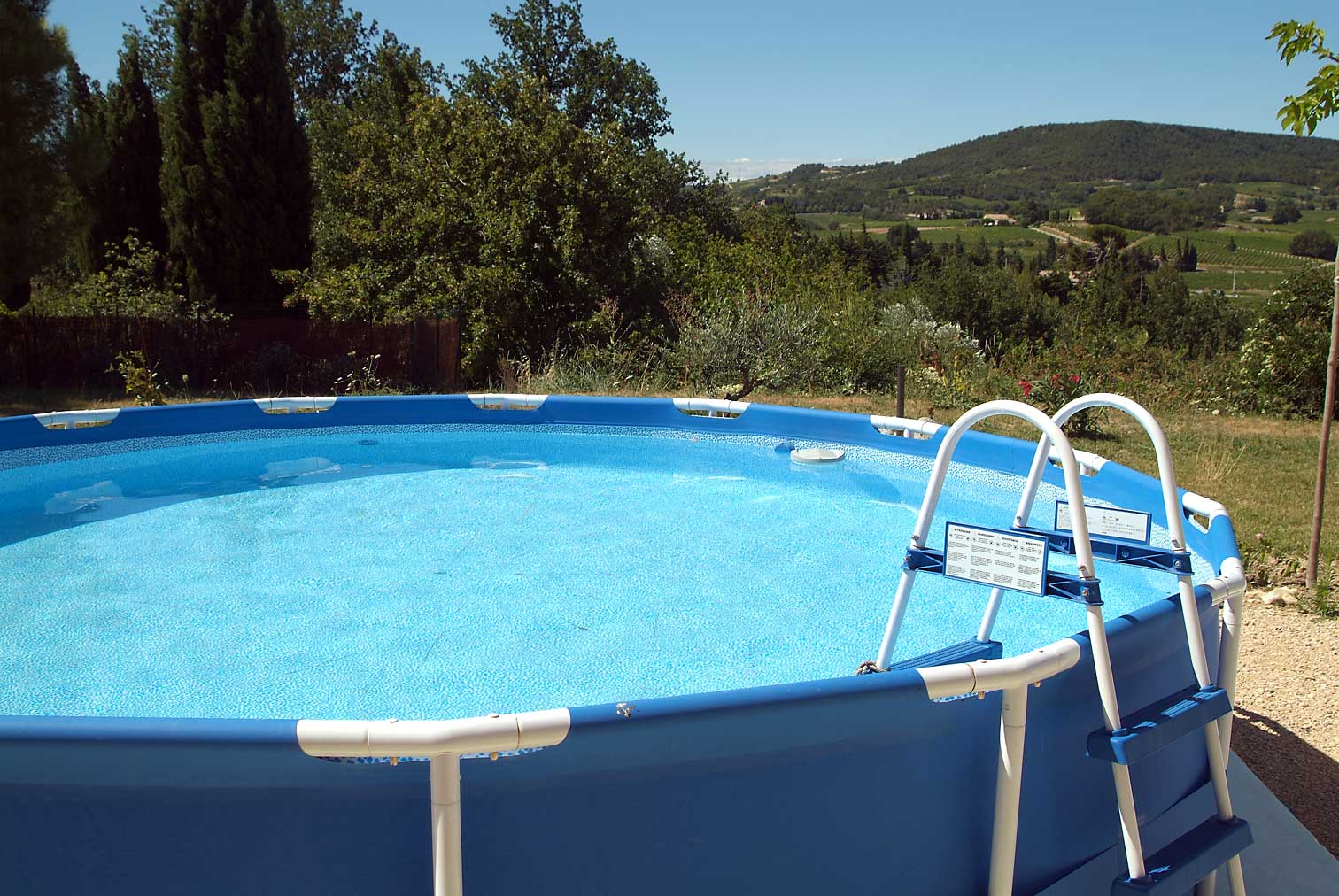Swim6520.jpg