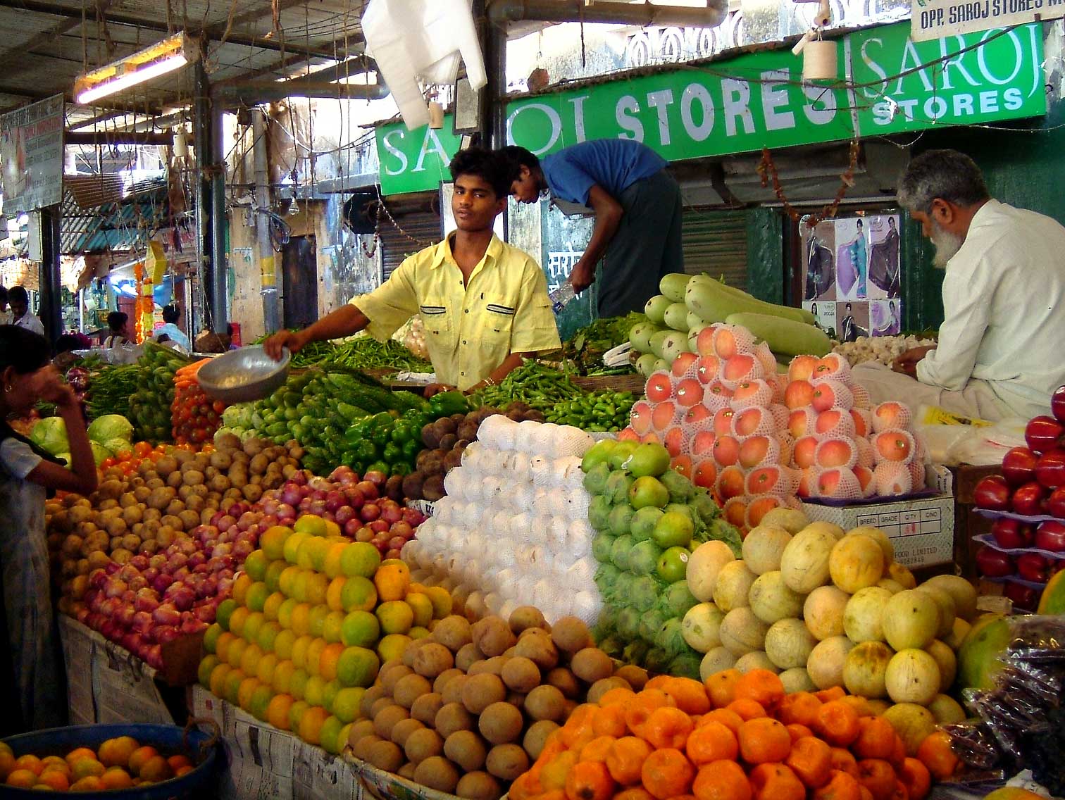 india-7966.jpg
