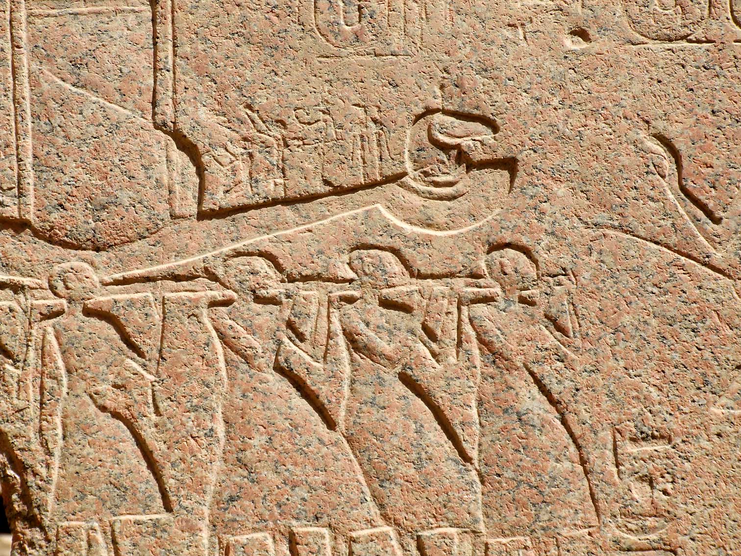 Egypt0711.jpg