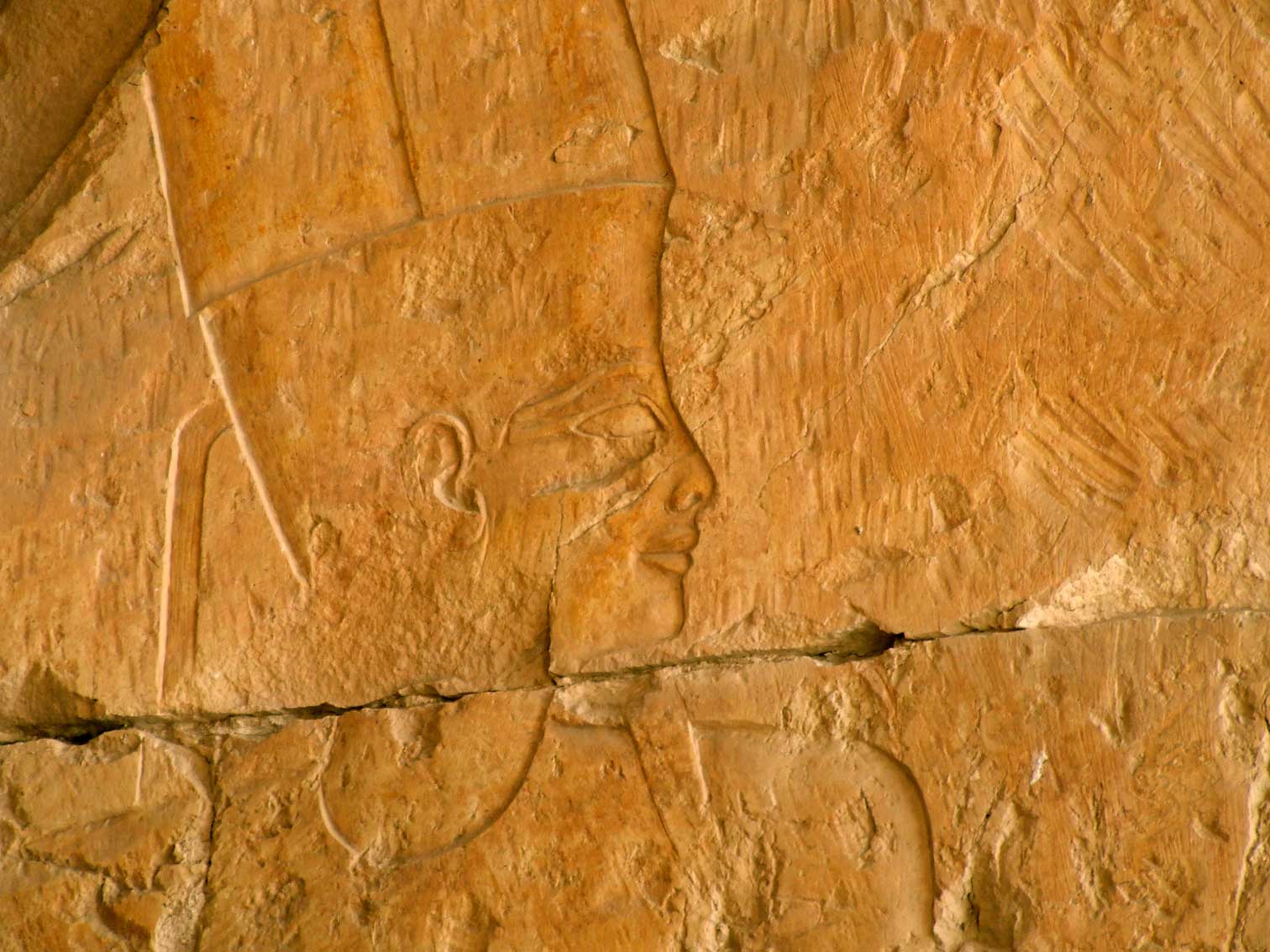 Egypx0220.jpg