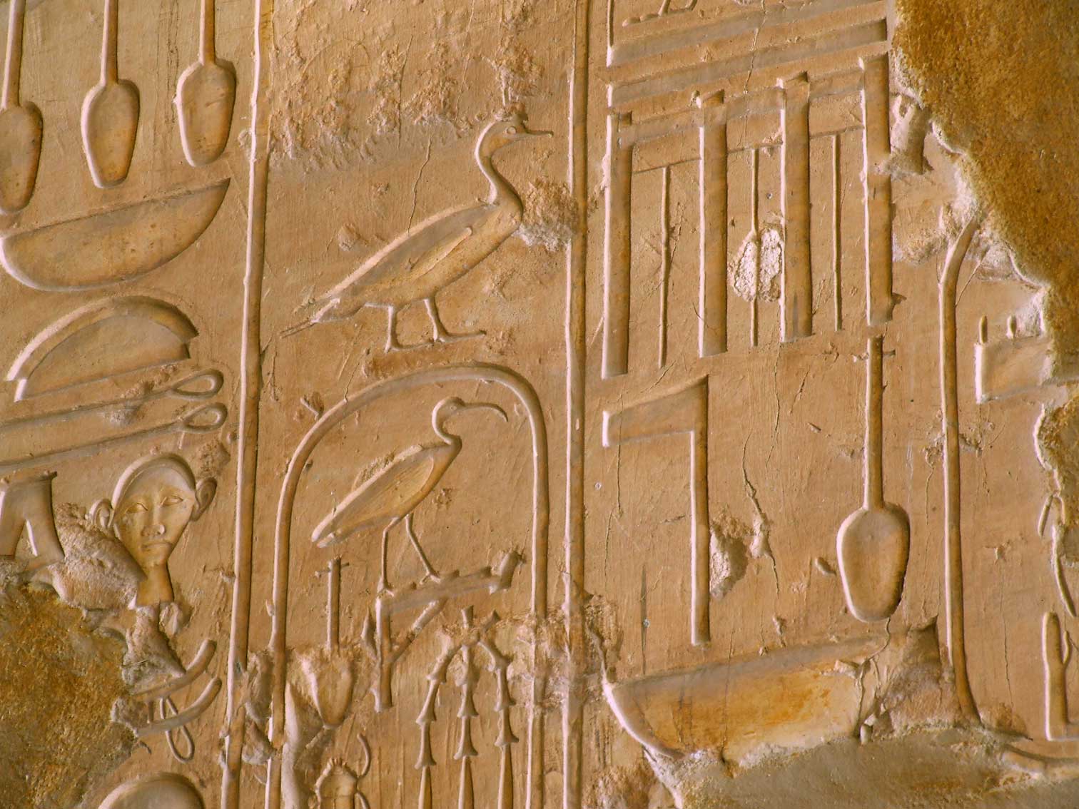 Egypx0263.jpg