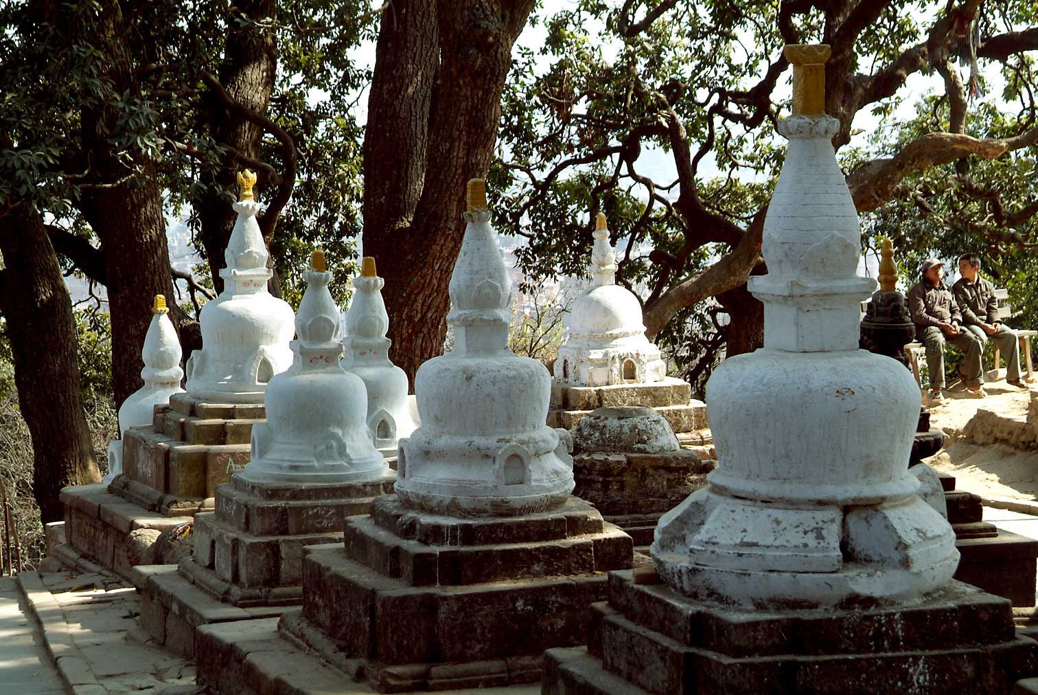 Nepal1089.jpg