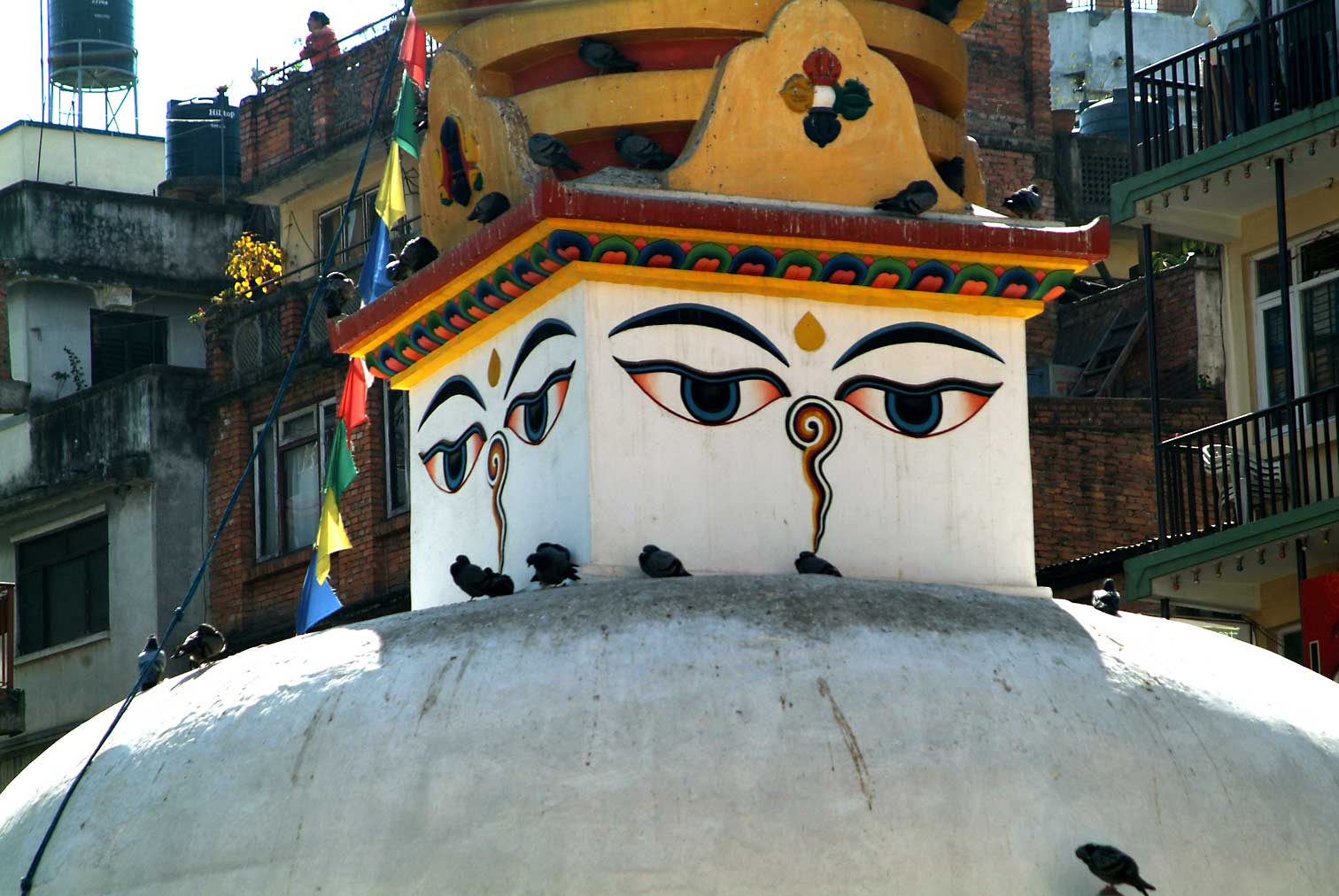 Nepal9488.jpg