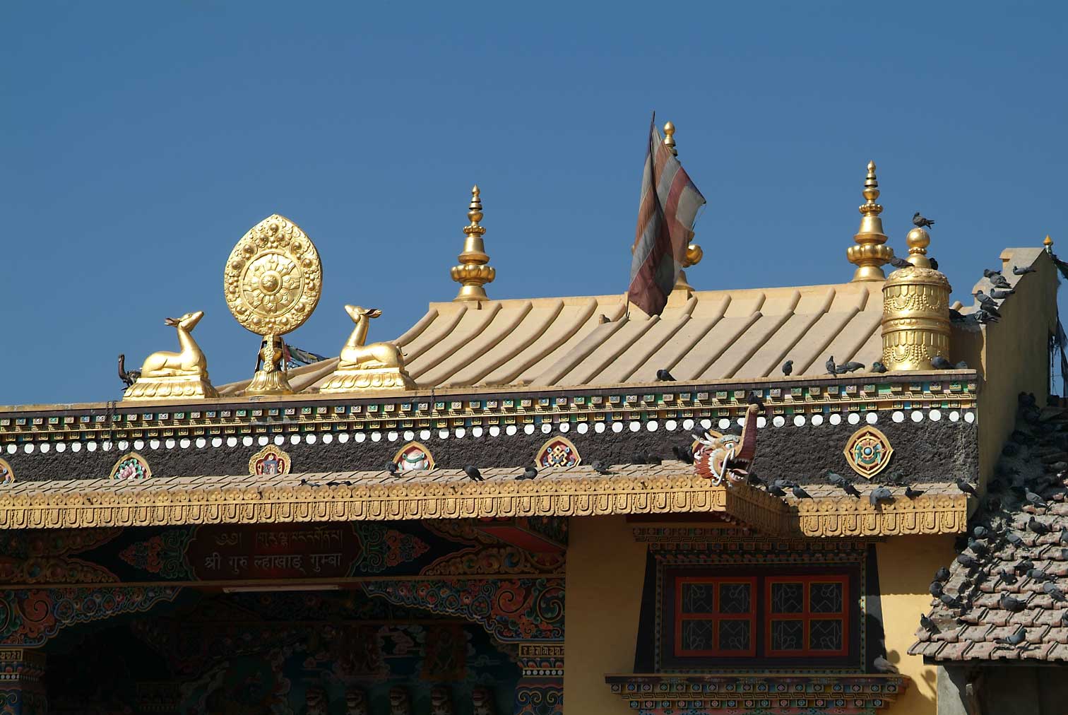 Nepal9754.jpg