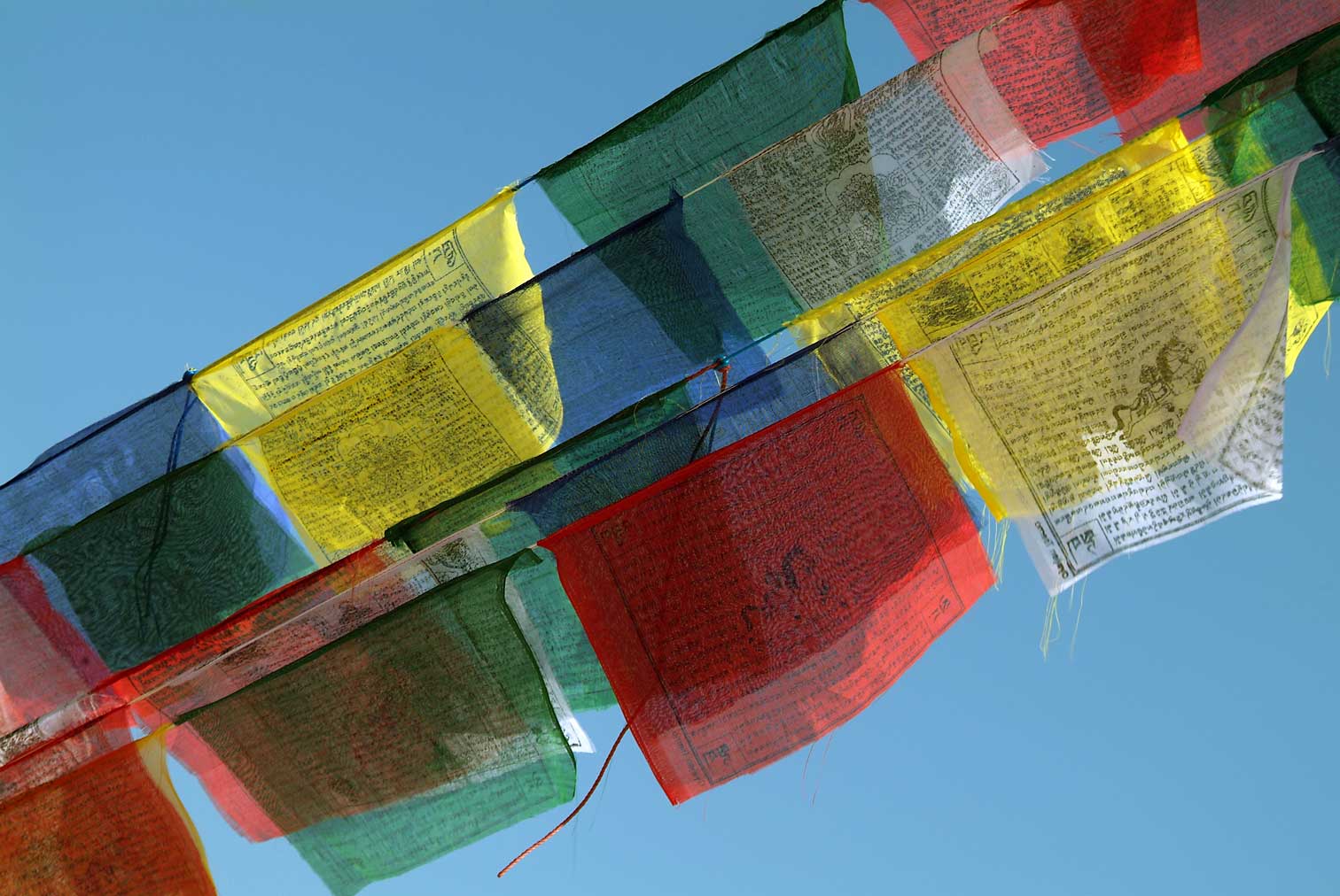 Nepal9762.jpg