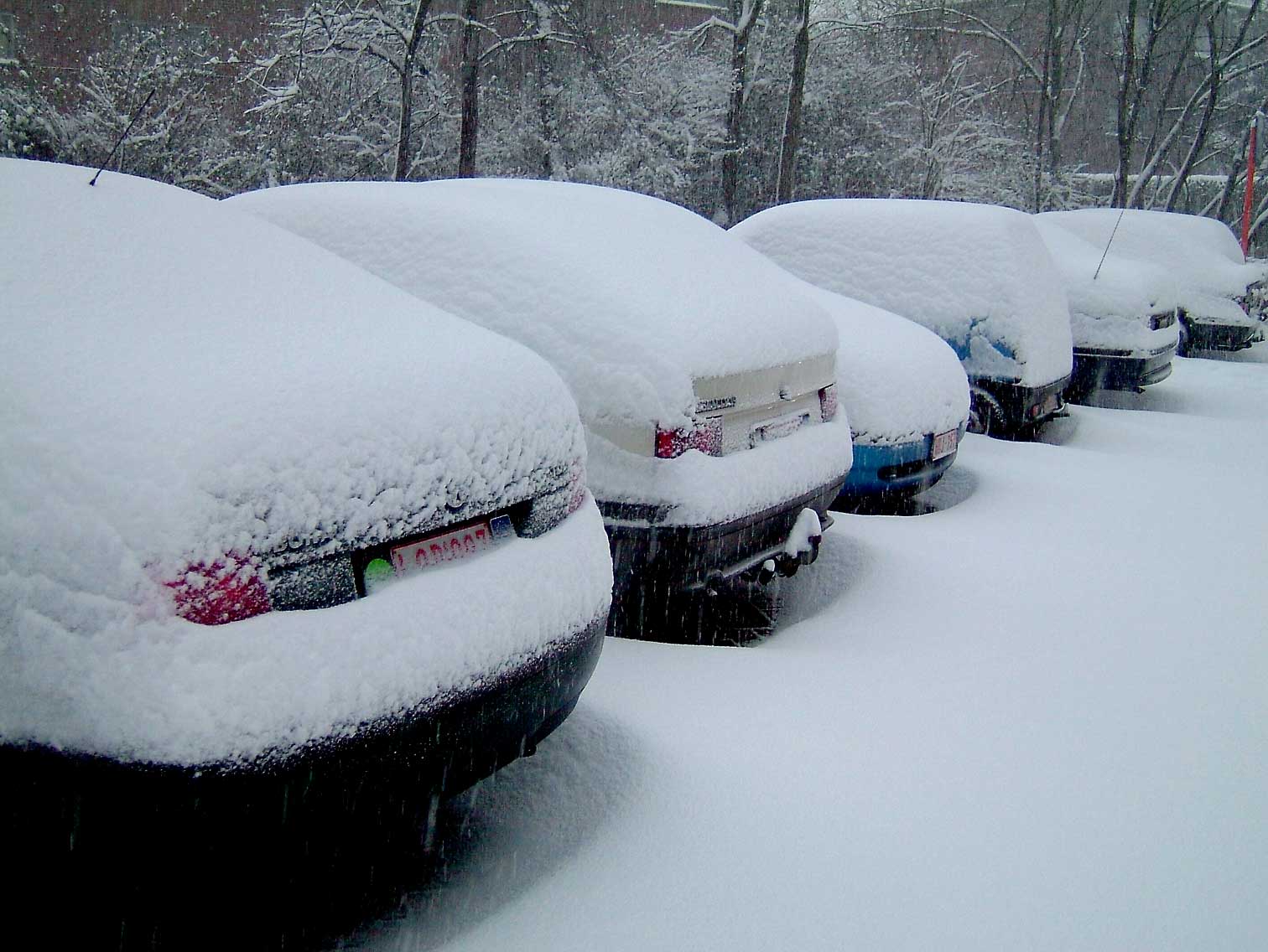 Snowcars.jpg