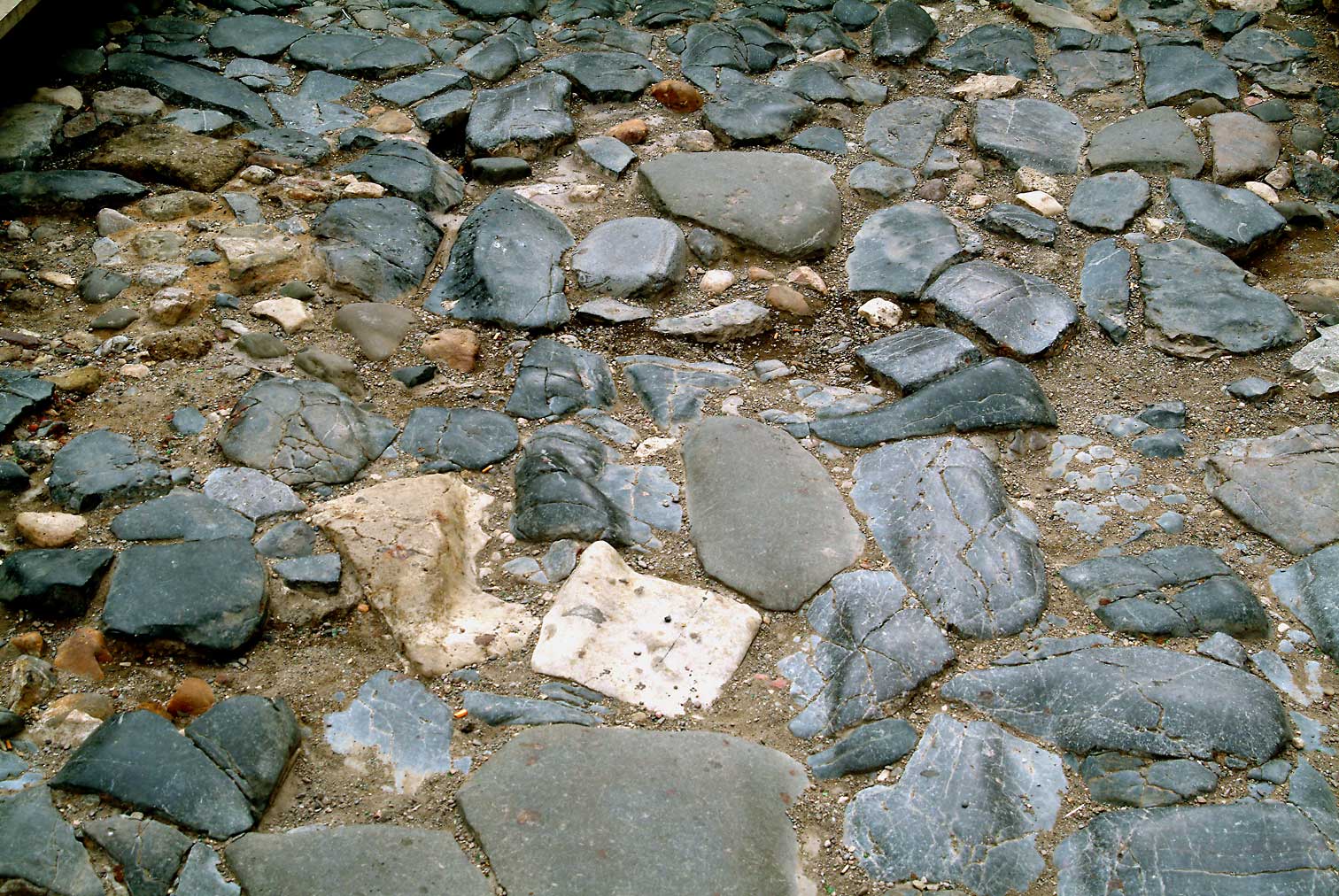 Via-domitia01.jpg