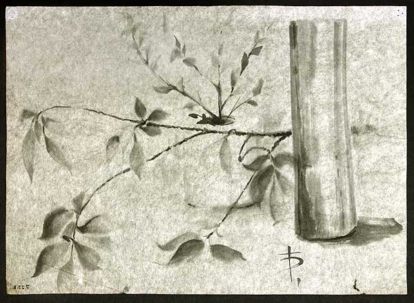 AVM-V-07-25-009-023.jpg