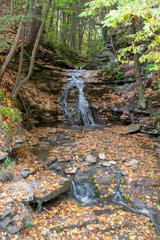 Letchworth State Park-7306.jpg