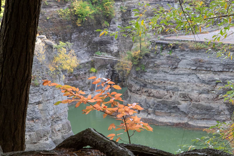 Letchworth State Park-7349.jpg