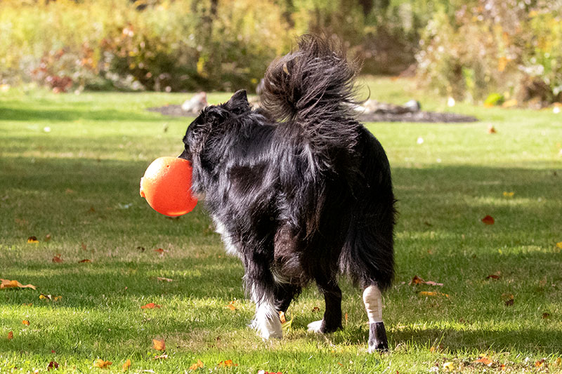 10/21/2020 - _N9A7409.jpg