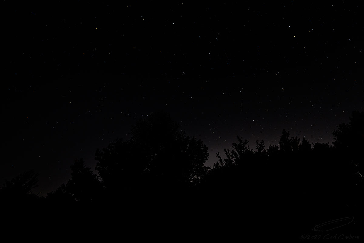 07/25/2022 - _42A4957.jpg