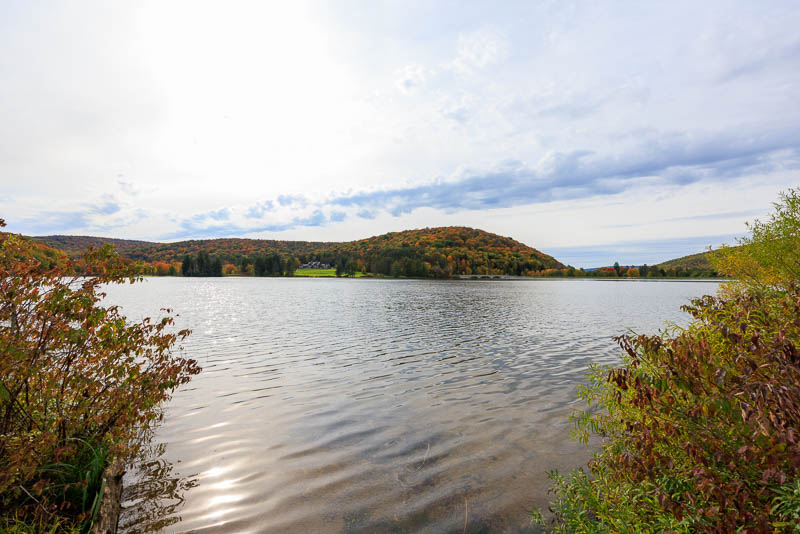 fall_finds_at_allegany-7348.jpg