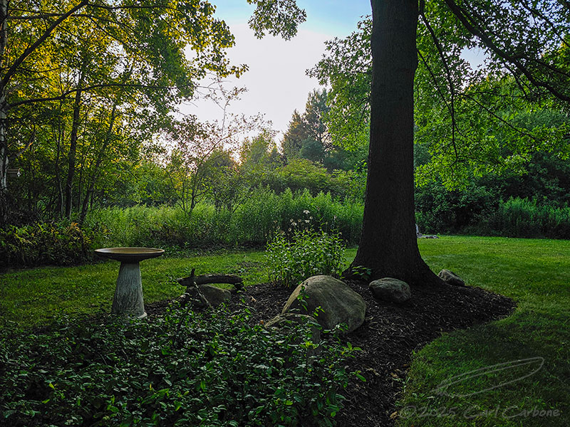 Photo-A-Day 2025