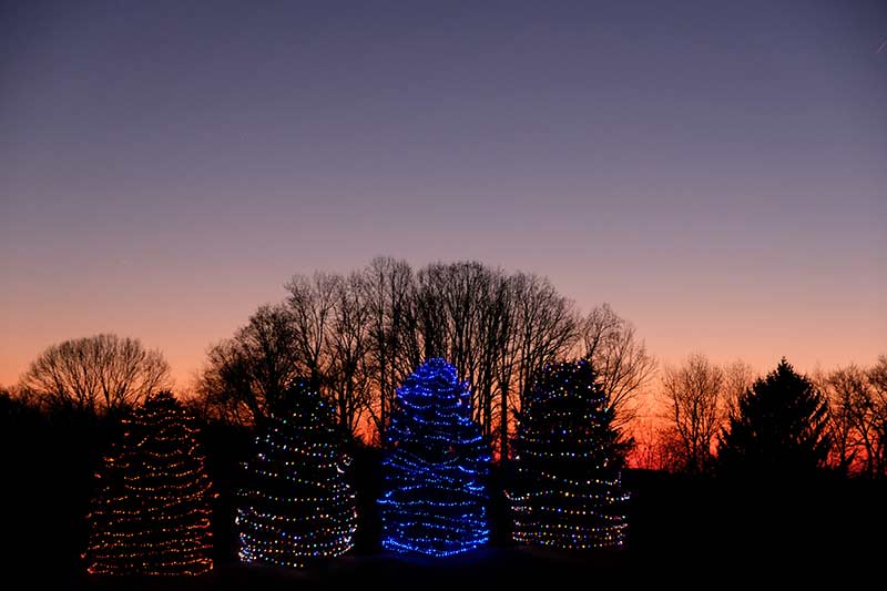 Its Magical at Sunset at the Herrs Christmas Lights Display