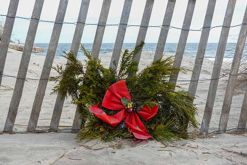 A Touch of Christmas at the Beach