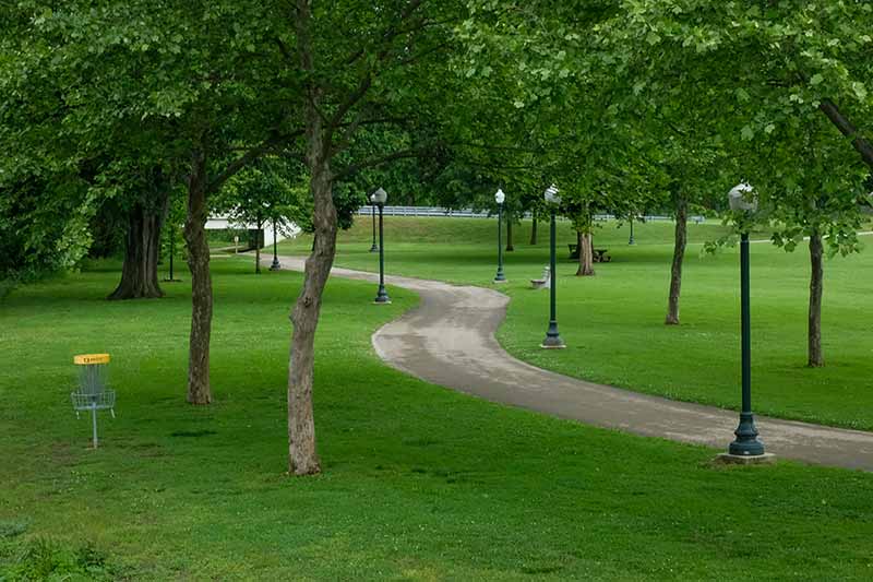 The S-Curve in Kerr Park