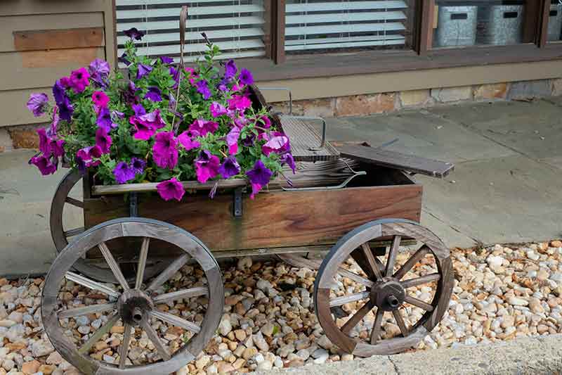 A Tiny Flower Cart