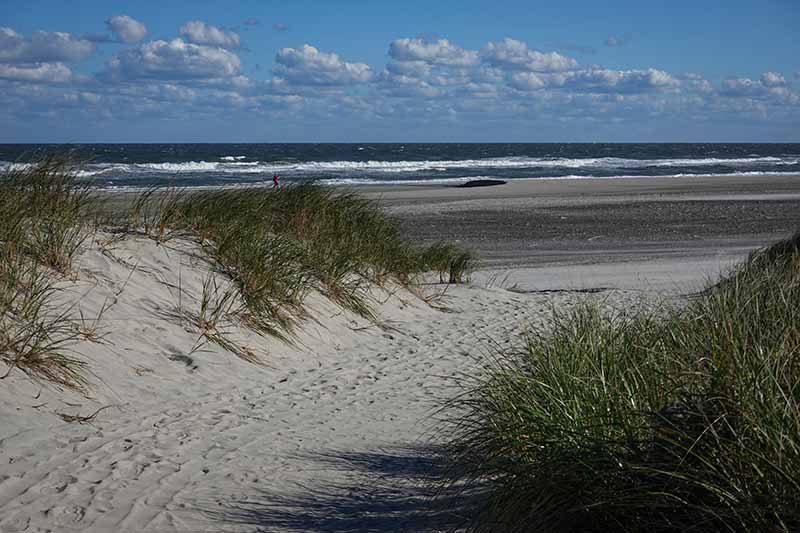 A Windy & Cool Afternoon in Sea Isle City