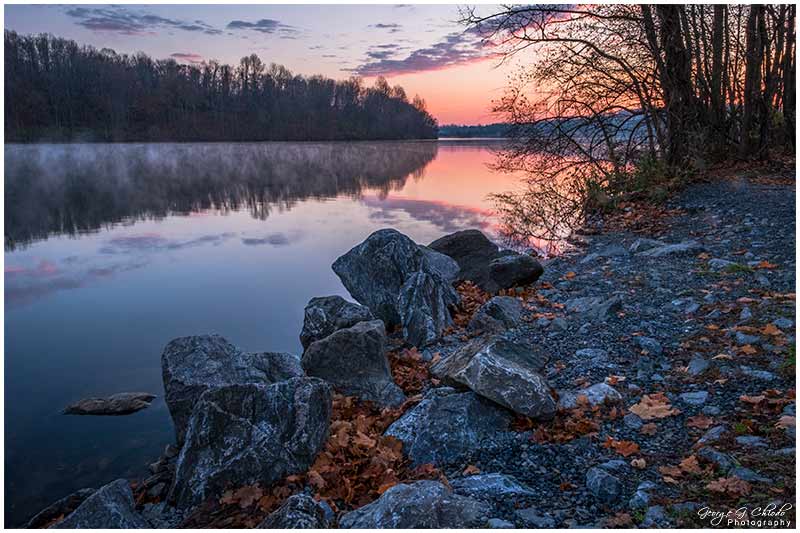 Anticipating Sunrise on Chalfont Road