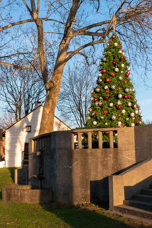 Park Side View of the Downingtown Christmas Tree #2 of 2