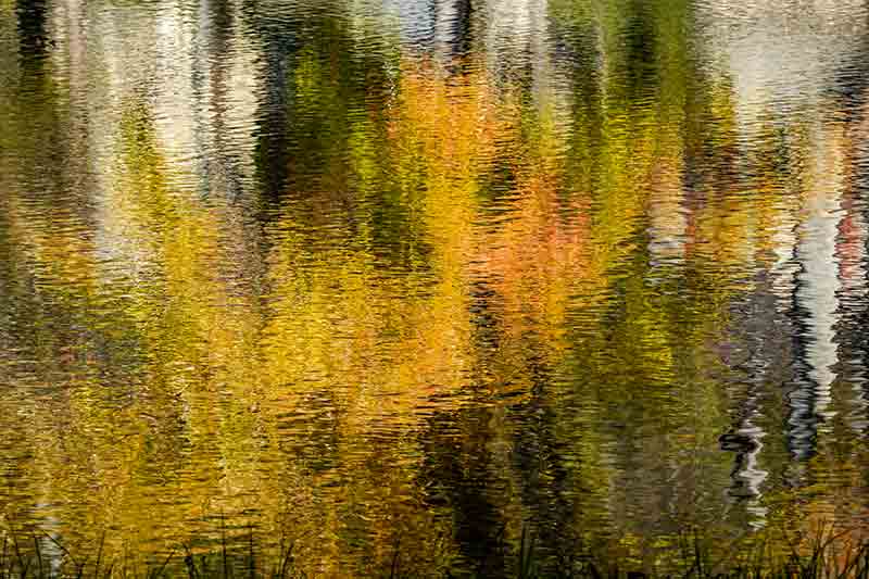 Autumn Reflections # 2 of 2