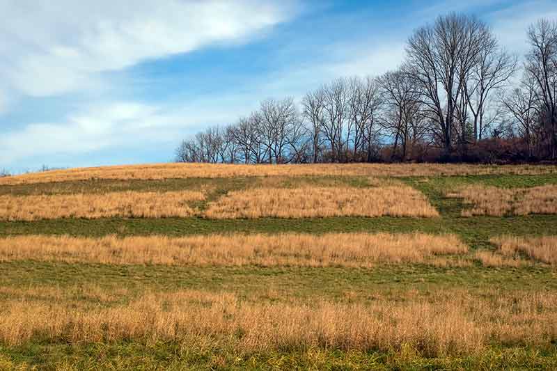 A Beautiful Chester County Hillside