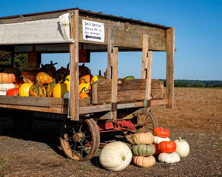 A Self Service Wagon #1 of 2